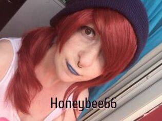 Honeybee66