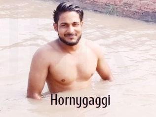 Hornygaggi