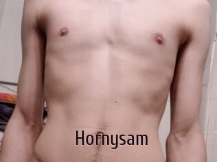 Hornysam