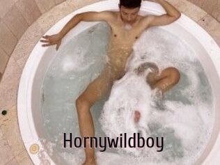 Hornywildboy