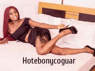 Hotebonycoguar