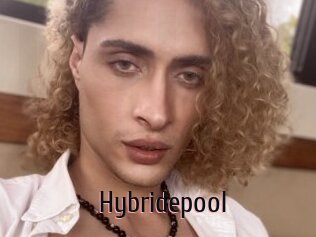 Hybridepool