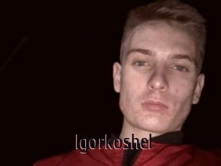 Igorkoshel
