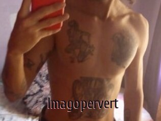 Imagopervert