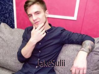 JakeSulii