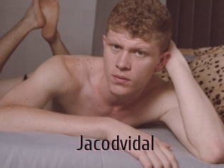 jacodvidal 1 film x