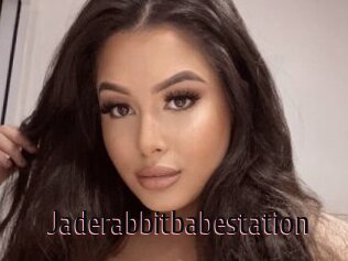 Jaderabbitbabestation