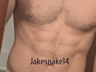 Jakesnake14