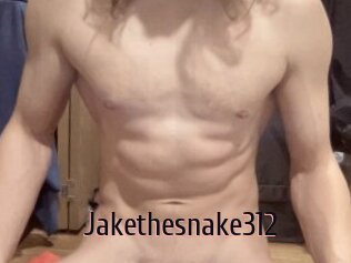 Jakethesnake312