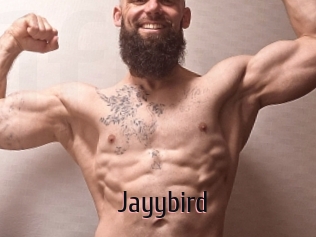 Jayybird