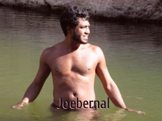 Joebernal
