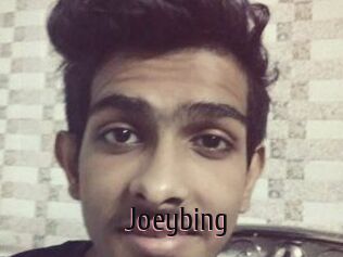 Joeybing
