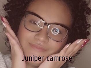 Juniper_camrose