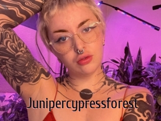 Junipercypressforest