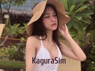 KaguraSim