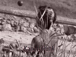 KanaryPunk