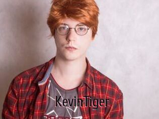 KevinTiger