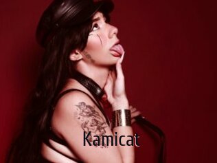 Kamicat