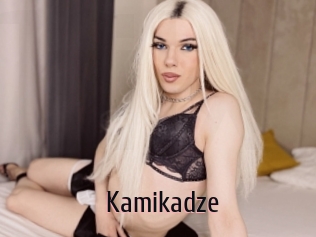 kamikadze 1 film x