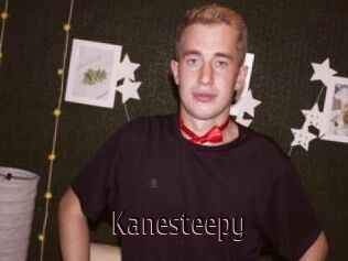 Kanesteepy