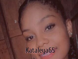 Kataleya65