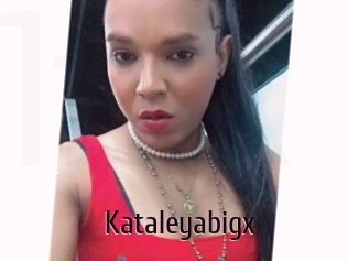 Kataleyabigx
