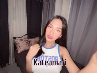Kateamari