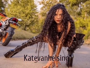 katevanhelsing 1 film x