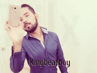 Kingbearboy