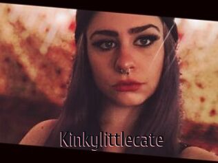 Kinkylittlecate