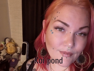 Koi_pond