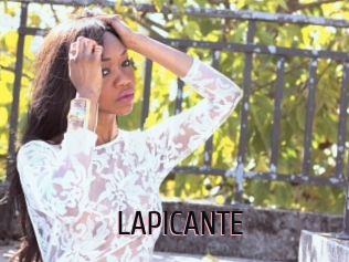 LAPICANTE
