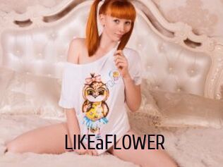 LIKEaFLOWER
