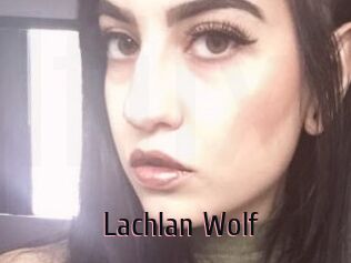 Lachlan_Wolf