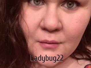 Ladybug22