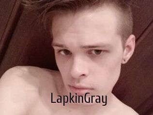 LapkinGray