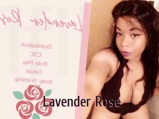 Lavender_Rose