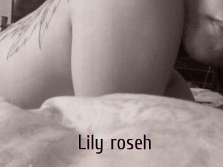 Lily_roseh