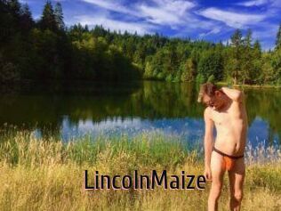 Lincoln_Maize
