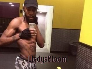 Lledys_Bloom