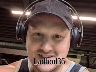 Ladbod36