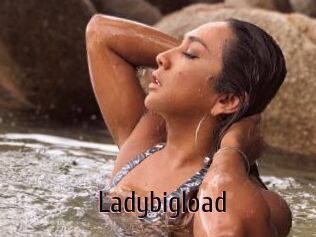 Ladybigload