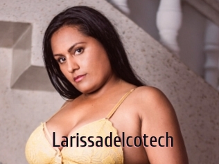 Larissadelcotech