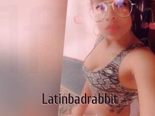 Latinbadrabbit