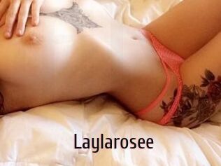 Laylarosee