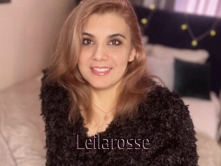 Leilarosse
