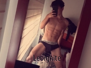 Leoignite