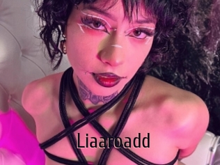 Liaaroadd