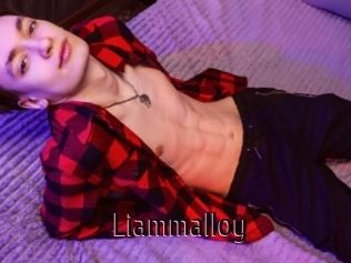 liammalloy 1 film x
