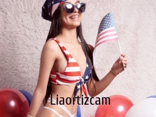 Liaortizcam